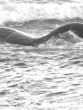 Apariencia impasible ante el batir de las olas que esculpen pacientes tu perfil de sirena
